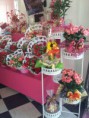 /album/galeria-de-fotos-arranjos-florais/camerazoom-20150815144307277-1-jpg/